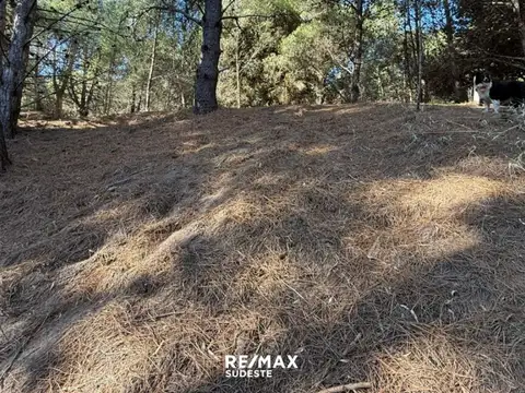 Terreno en Venta de 400,0 m2