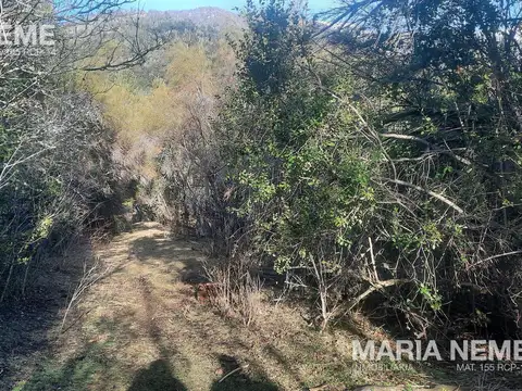 Campo en  venta - Colonia Suiza