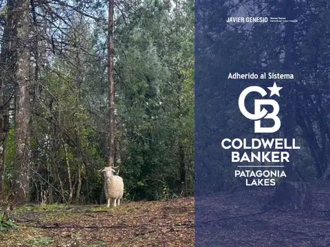 VENTA Terreno / Lote 800m2 B° las Balsas Villa La Angostura