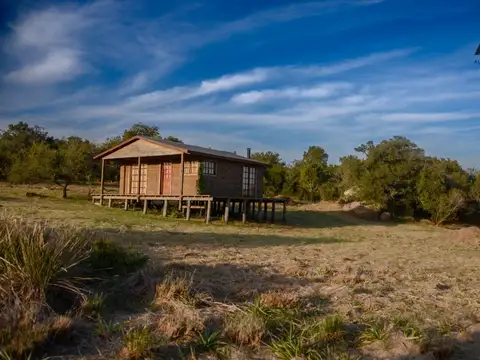 Chacra en venta de 5ha ubicado en Nueva Carrara