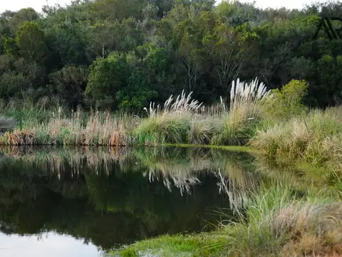 Cno. de los Viñedos, Departamento de Maldonado, 100