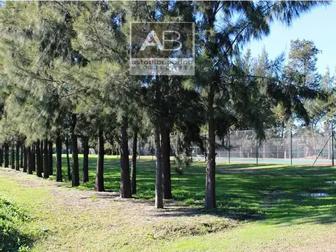 Excelente Lote en Bella Vista Chico