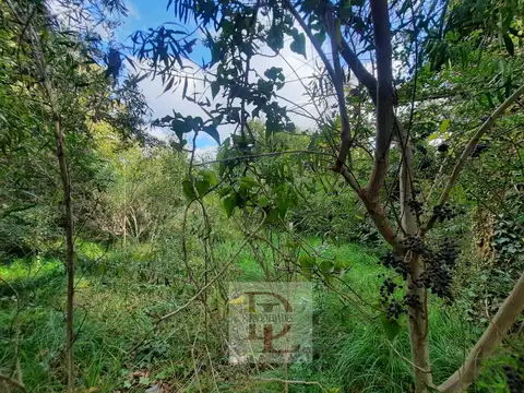 Terreno Lote  en Venta en General Pacheco, Tigre, G.B.A. Zona Norte