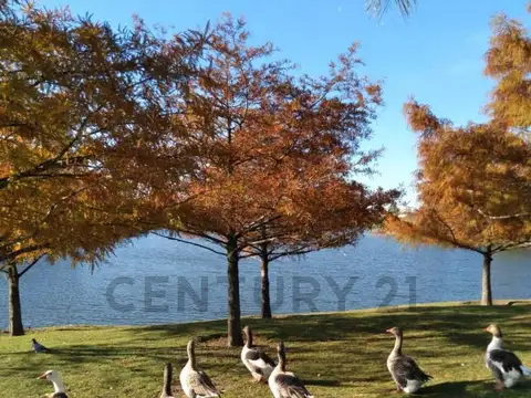 TERRENO EN VENTA CON SALIDA AL RIO- BARRIO SAN MARCO VILLANUEVA