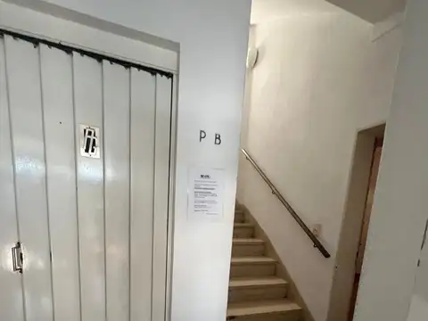 Alem 100
