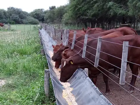 Campo en Venta de 205  ha