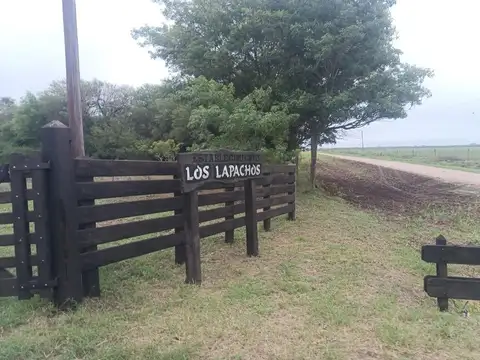 campo mixto de 205 has. alambrado a 10 kms de Castelli