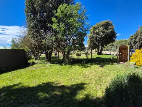 De la Tempestad 1200