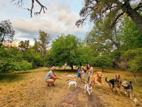 Terreno 3750 m2 en Villa Rosa Pilar