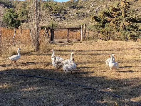 Casa en Venta en Cruz Del Eje, USD 40.000