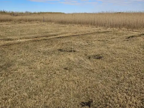 VENTA 3 LOTES EL SAUCE CALLEJÓN FERRER.