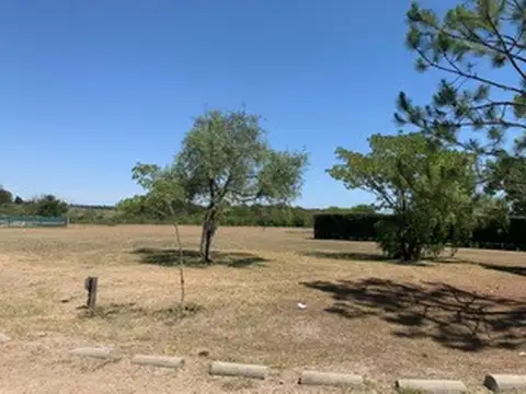 Camino Vuelta de Obligado APART CLUB