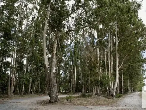 Chacras de La Cruz