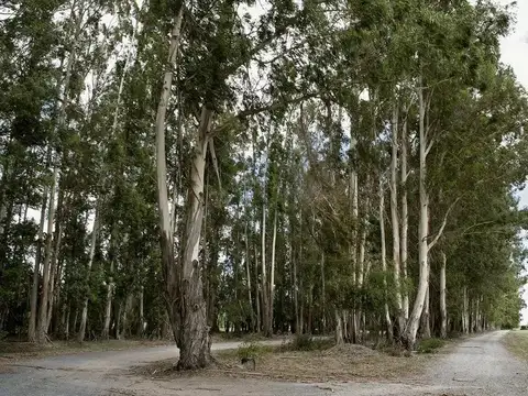 Chacras de La Cruz