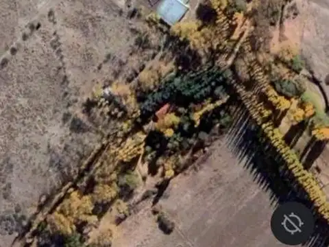 Campo en Venta de 8.050  ha