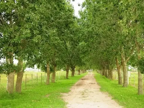 Sobre Ruta 2 km. 186