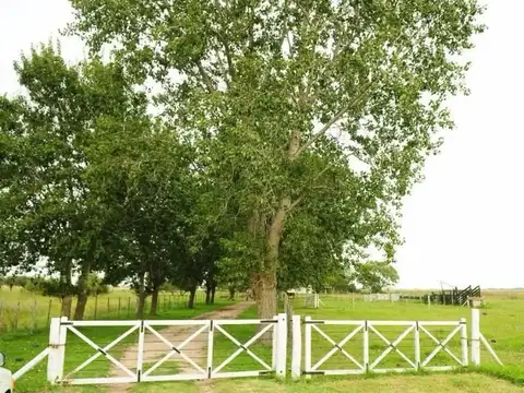 Campo en Alquiler de 200  ha