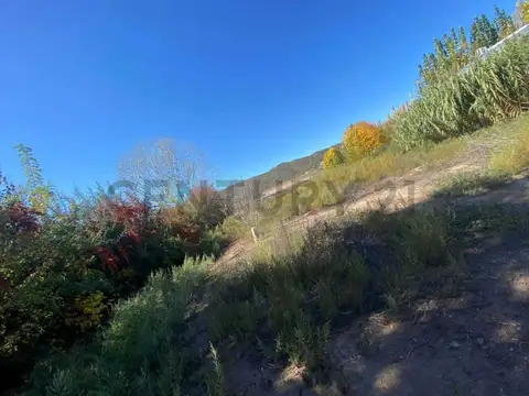 SE VENDE LOTE, PERDRIEL - LUJAN DE CUYO