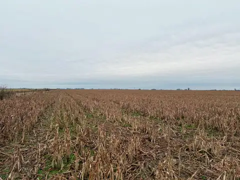 Excelente campo agrícola en perfecta ubicación logística