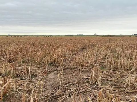 Santa Teresa '30 has