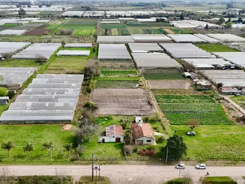 HECTAREAS EN VENTA ABASTO Y CASA 4 DORMITORIOS 