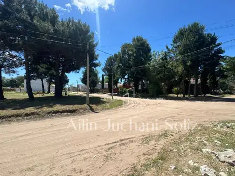 dardo rocha al 500