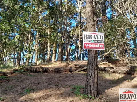 Terreno / Lote en venta de 325m2 ubicado en Mar Azul