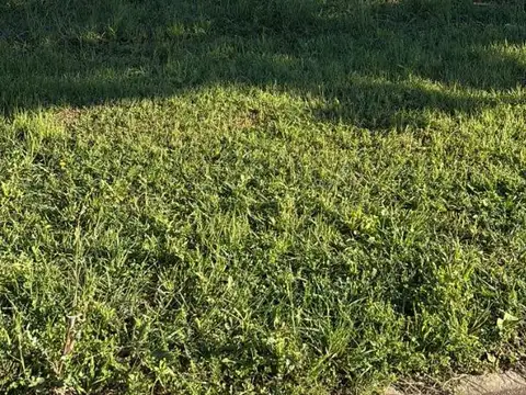 9 De Julio Y Nito Farace