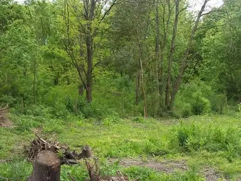 Terreno en Venta 100  mts Frente