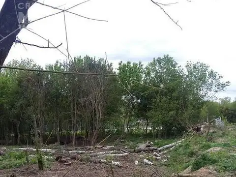 Terreno en Venta en Loma Verde, USD 250.000