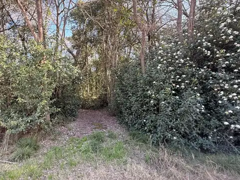 Terreno en Venta de 1824,0 m2