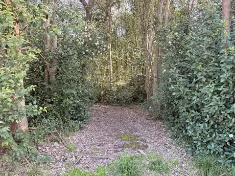 Viví la experiencia de despertar cada día rodeado de naturaleza, aire puro y la serenidad