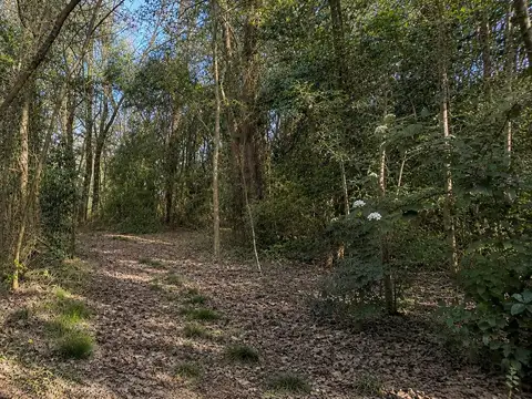 Viví la experiencia de despertar cada día rodeado de naturaleza, aire puro y la serenidad