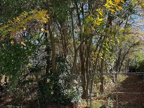 Terreno Lote  en Venta en Bella Vista, San Miguel, G.B.A. Zona Norte
