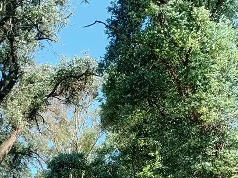 Terreno en Venta de 324,0 m2