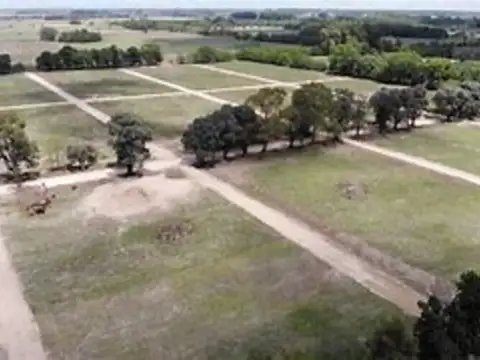 Dr Hector Campora Y Lemos