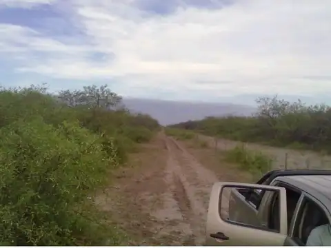 Campo de 6500 Has en Venta - Salta