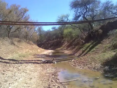 6500 ha - a desarrollar - Anta - Salta