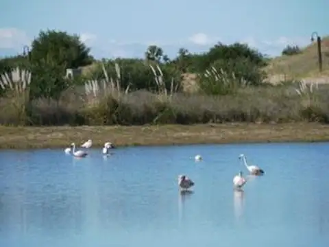 Ruta Interbalnearia nº 11 km 364