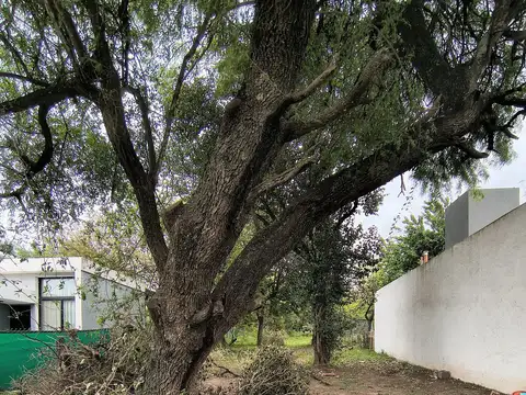 Terreno en Venta en Villa Catalina, USD 19.900