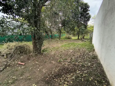 Terreno en Venta 37  mts Fondo