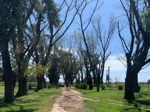 Campo en Venta de 0,30  ha