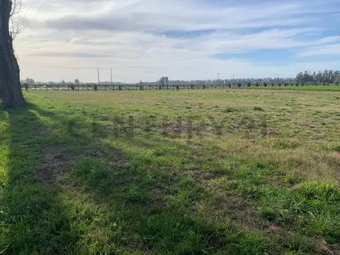 Campo en Venta en San Andres de Giles, Partido de San Andrés de Giles