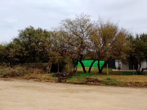 Calle Publica Plaza Pueblo