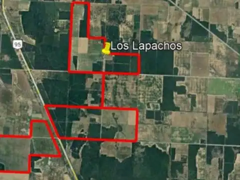 Campo en Venta Ganadero