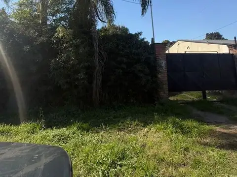 Misiones 1900, Piso Mis