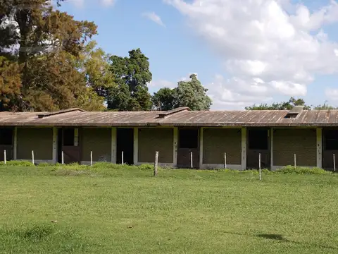 Ruta 8 Km 84, Haras El Malacate Club De Campo, Exaltación de la Cruz, Provincia de Buenos Aires