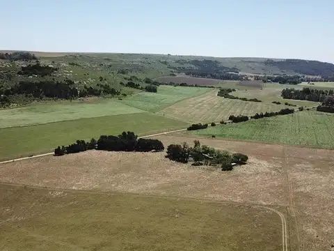 Mar del Plata