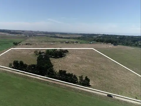 Mar del Plata