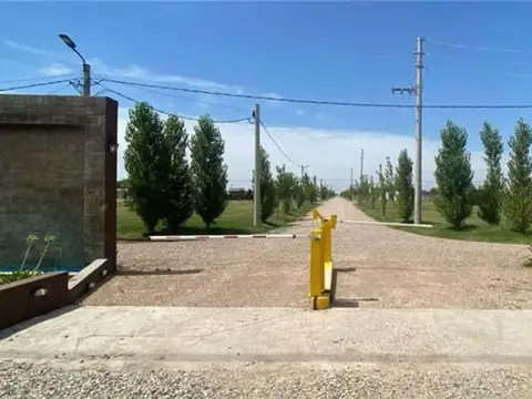 Barrio Estilo Campo